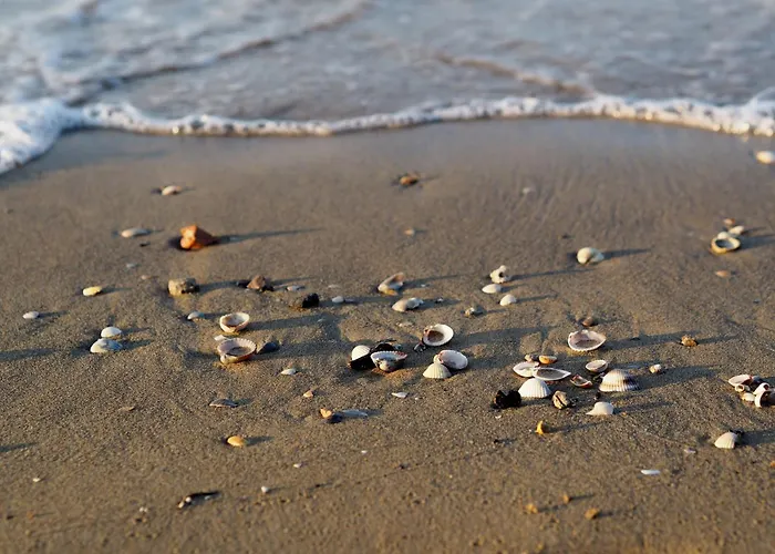 Flat Near The Beach, Perfect For Up To 6 Guests *